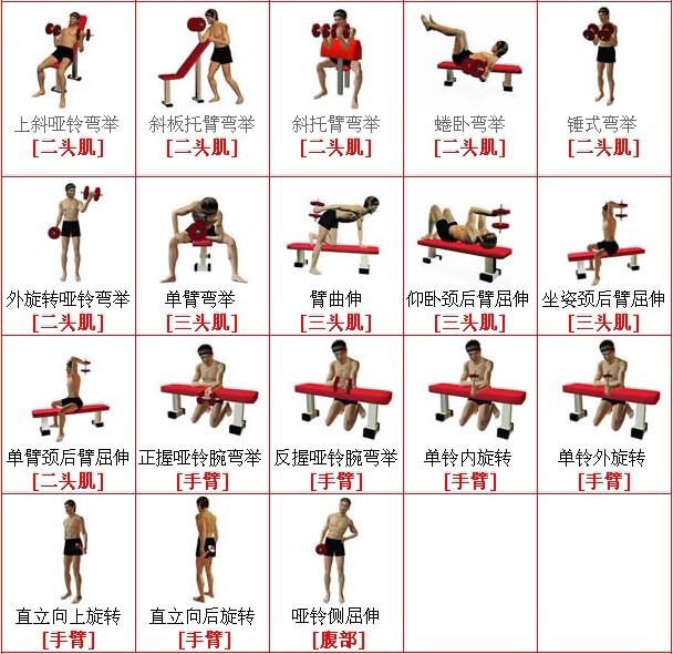 健身图解,哑铃健身图解,男子哑铃健身图解(第4页)_点 ...