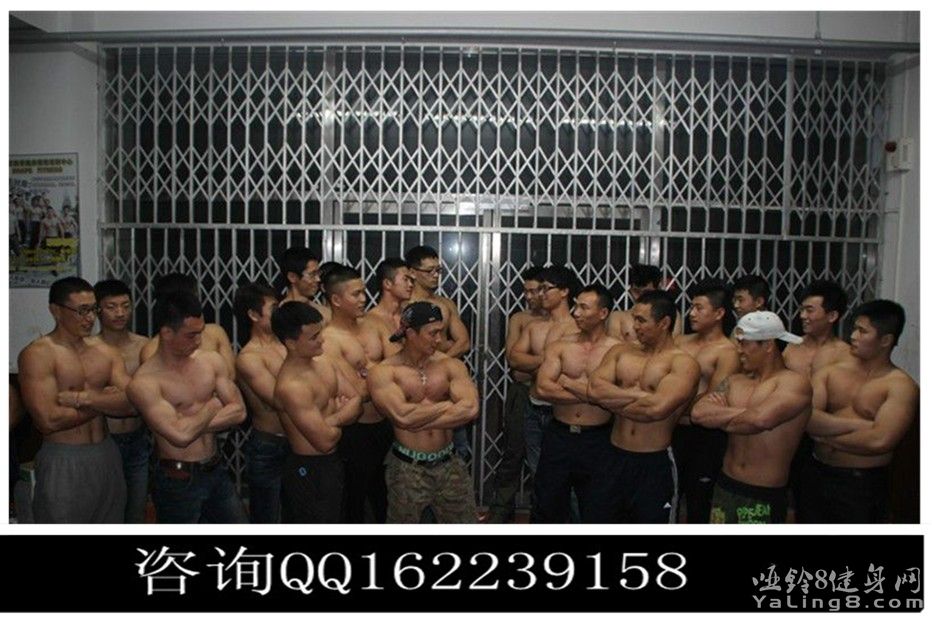 贴用肌肉群照_副本.jpg