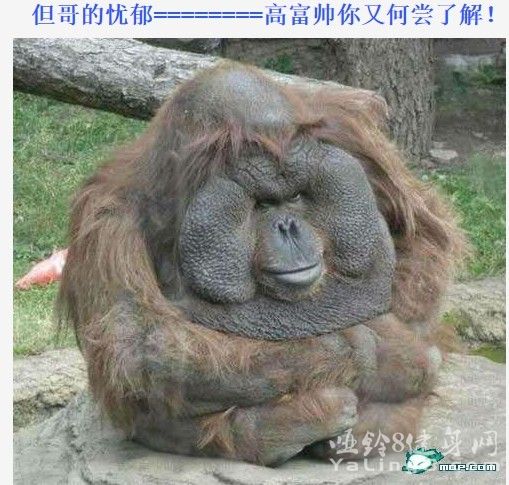 QQ图片20130611192426.jpg