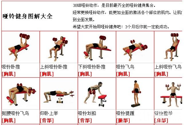 哑铃锻炼方法图解