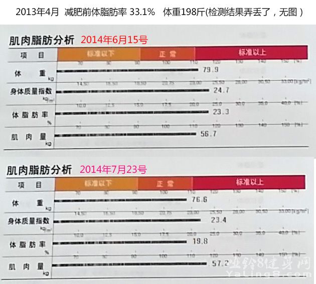 体脂肪率 体重变化.jpg