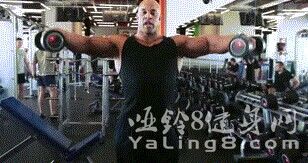 如何锻炼三角肌