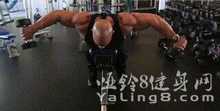 如何锻炼三角肌