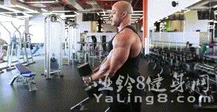 如何锻炼三角肌