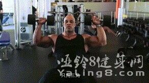 如何锻炼三角肌