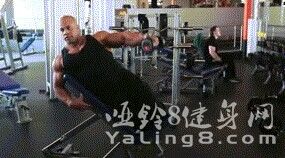 如何锻炼三角肌