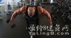 如何锻炼三角肌
