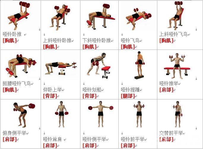 哑铃1.jpg