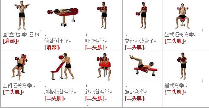 哑铃2.jpg