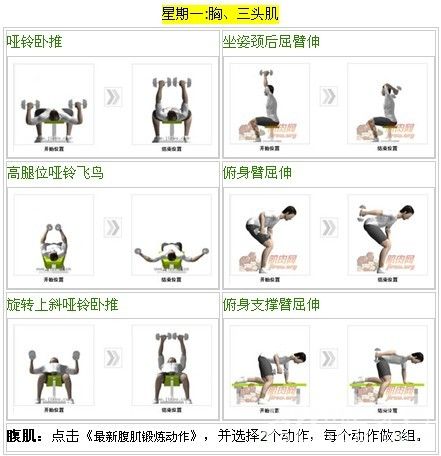 全套哑铃健身计划系列（一） - 哑铃健身方法- 家庭健身论坛- Powered by 