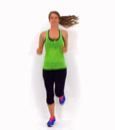 1.gif