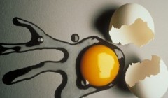 实验结果分析：鸡蛋可不可以生吃