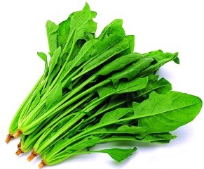 吃菠菜长肌肉