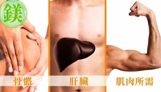 镁