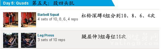 译文:示图分享瘦子怎么练肌肉