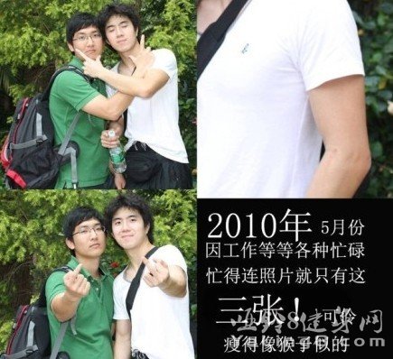 2010-2013猴子的进化