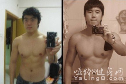 2010-2013猴子的进化