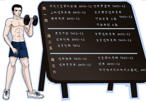 初学者,健身计划
