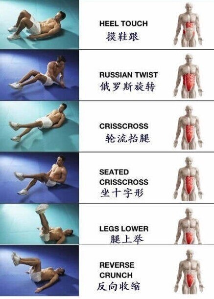 腹肌训练动作
