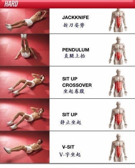 腹肌训练动作