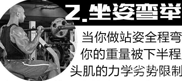 二头肌锻炼秘诀-坐姿弯举