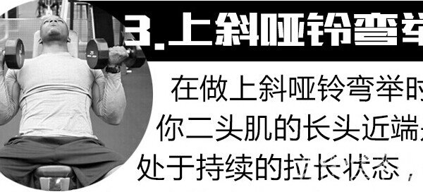 二头肌锻炼上斜哑铃弯举