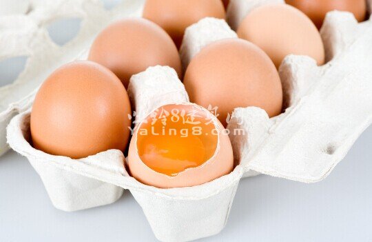 肌肉快速生长食物鸡蛋