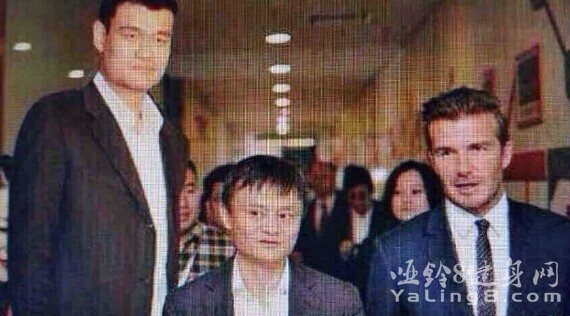 高富帅