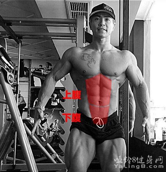 腹部的练习都是某一种卷腹动作