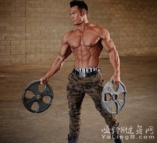 全面分析你肌肉为什么零增长