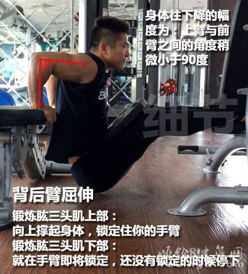 简单有效的肱三头肌锻炼动作-背后臂屈伸