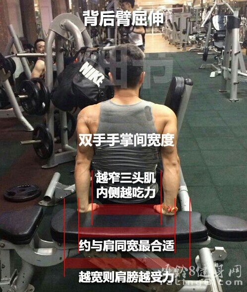 简单有效的肱三头肌锻炼动作-背后臂屈伸