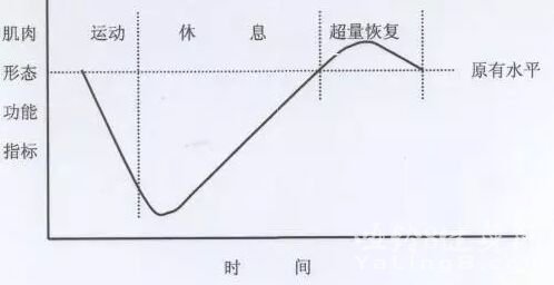 增肌的十条“军规”,健身的你必须理解透彻