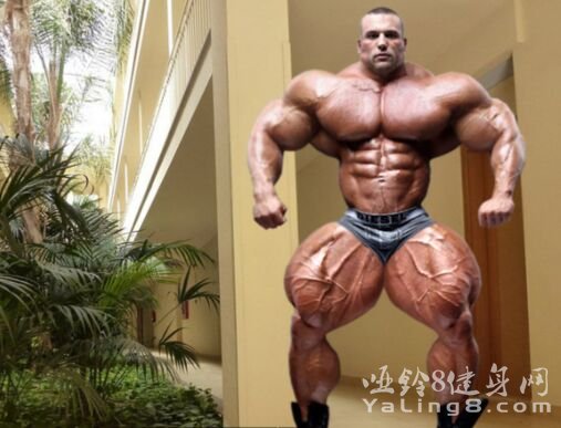 世界级肌肉野兽