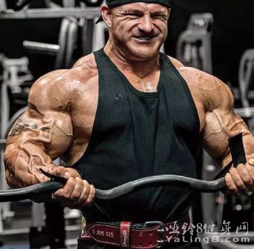 肱二头肌、肱三头肌训练