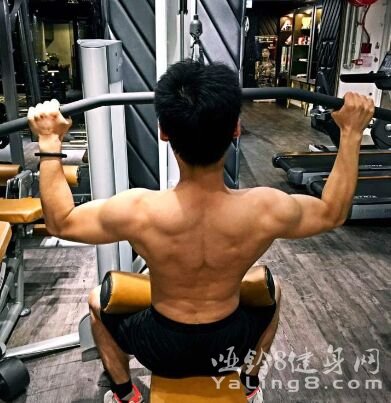 瘦人健身增重