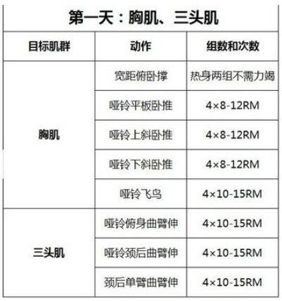 胸部和三头